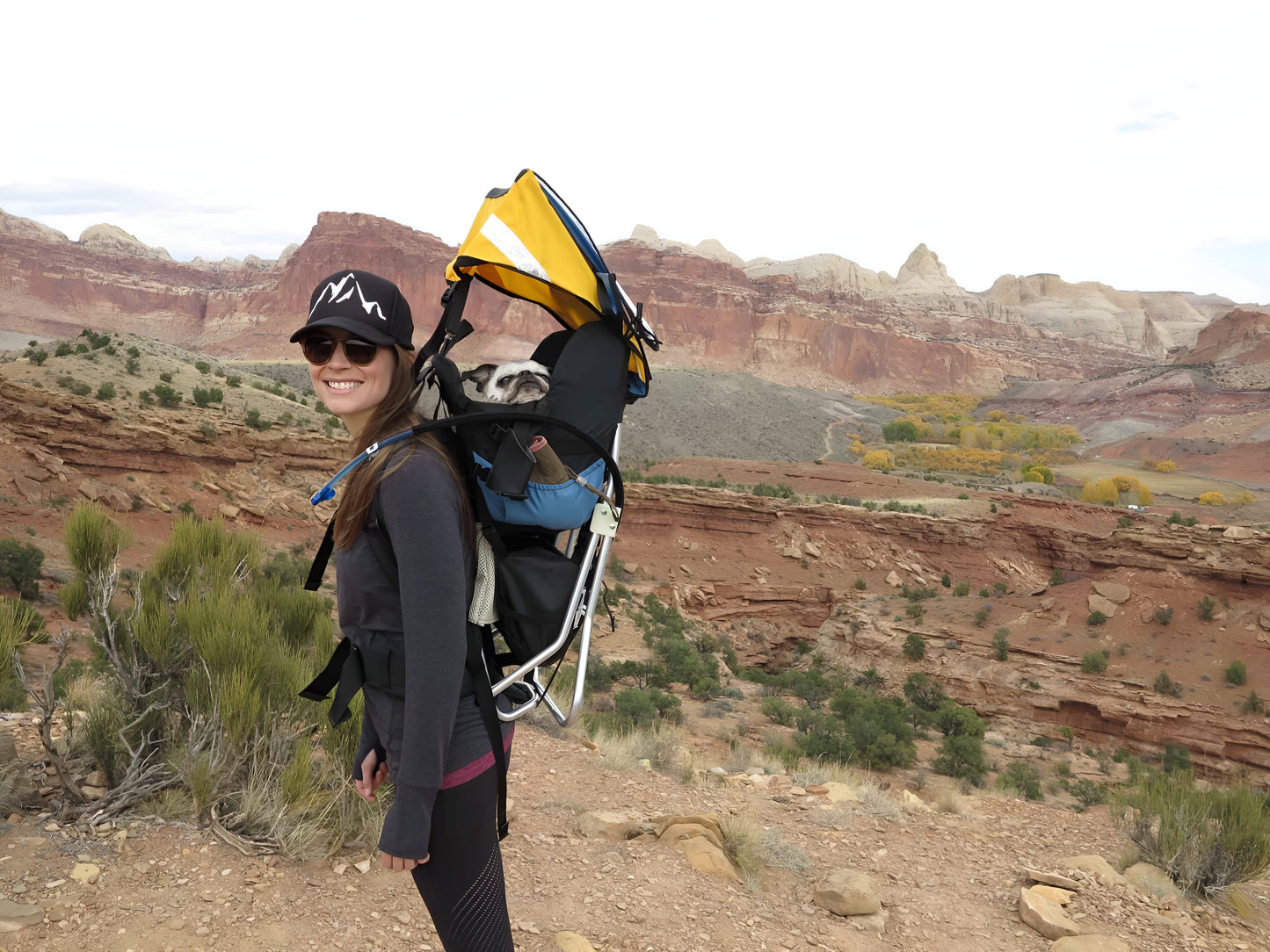 DOG PERCH BACKPACK