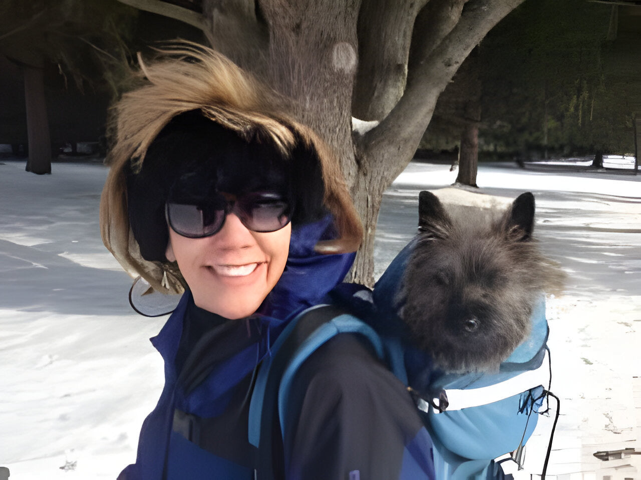 COLT DOG PERCH BACKPACK (Up to 10 lbs) Pet Products, by Tough Traveler. Made in USA since 1970