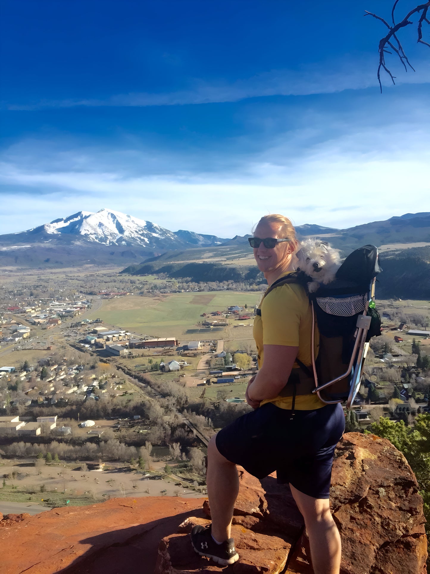 DOG PERCH BACKPACK