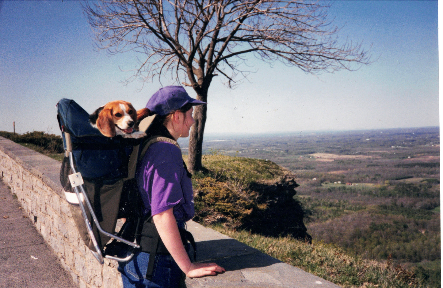 FILLY/KID CARRIER DOG PERCH BACKPACK (Up to 25 lbs)