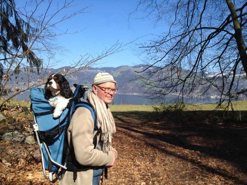 Made in USA FILLY/KID CARRIER DOG PERCH BACKPACK (Up to 25 lbs) Pet Products