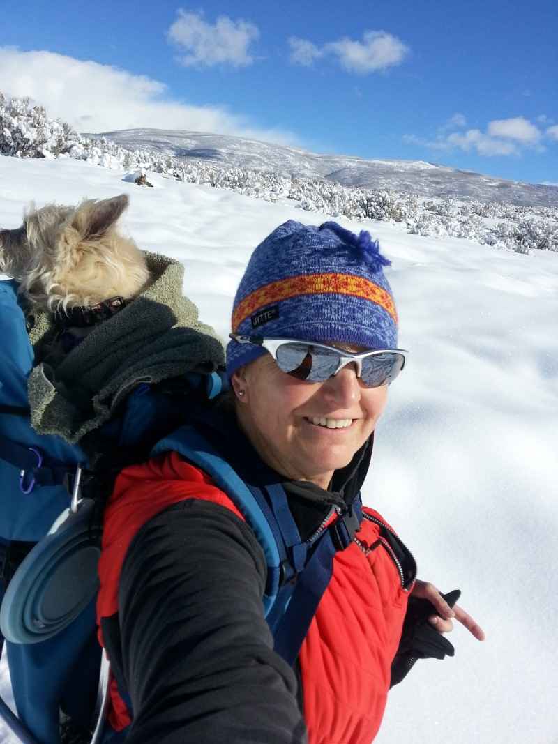 Made in USA MONTANA DOG PERCH BACKPACK (Up to 15 lbs) Pet Products