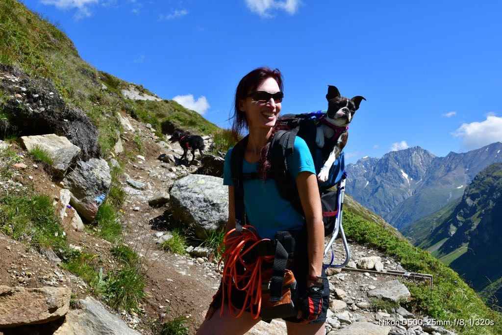 Made in USA MUSTANG DOG PERCH BACKPACK (Up to 35 lbs) Pet Products