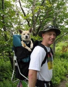 Made in USA STALLION DOG PERCH BACKPACK (Up to 30 lbs) Pet Products