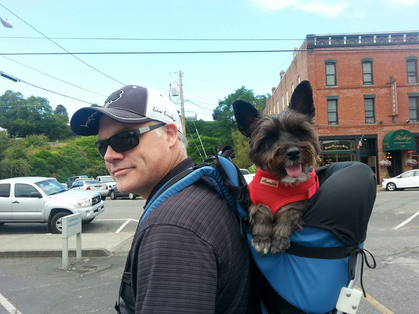 Made in USA STALLION DOG PERCH BACKPACK (Up to 30 lbs) Pet Products