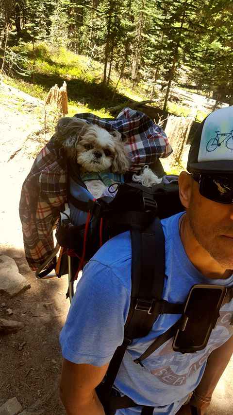 Made in USA STALLION DOG PERCH BACKPACK (Up to 30 lbs) Pet Products