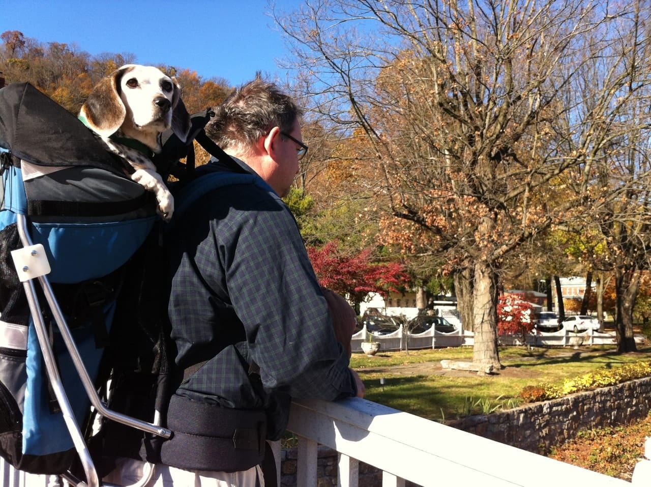 Made in USA STALLION DOG PERCH BACKPACK (Up to 30 lbs) Pet Products