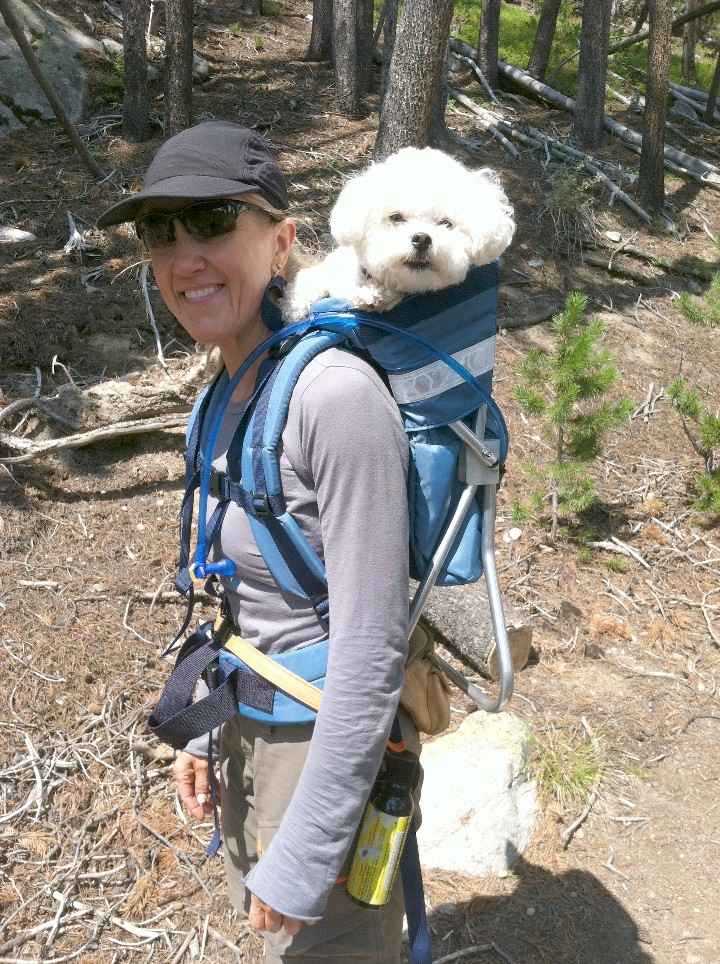 Made in USA STALLION DOG PERCH BACKPACK (Up to 30 lbs) Pet Products