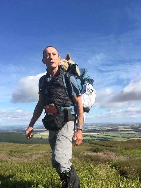 Made in USA STALLION DOG PERCH BACKPACK (Up to 30 lbs) Pet Products