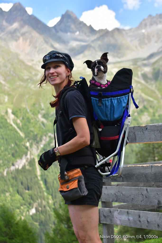Made in USA STALLION DOG PERCH BACKPACK (Up to 30 lbs) Pet Products