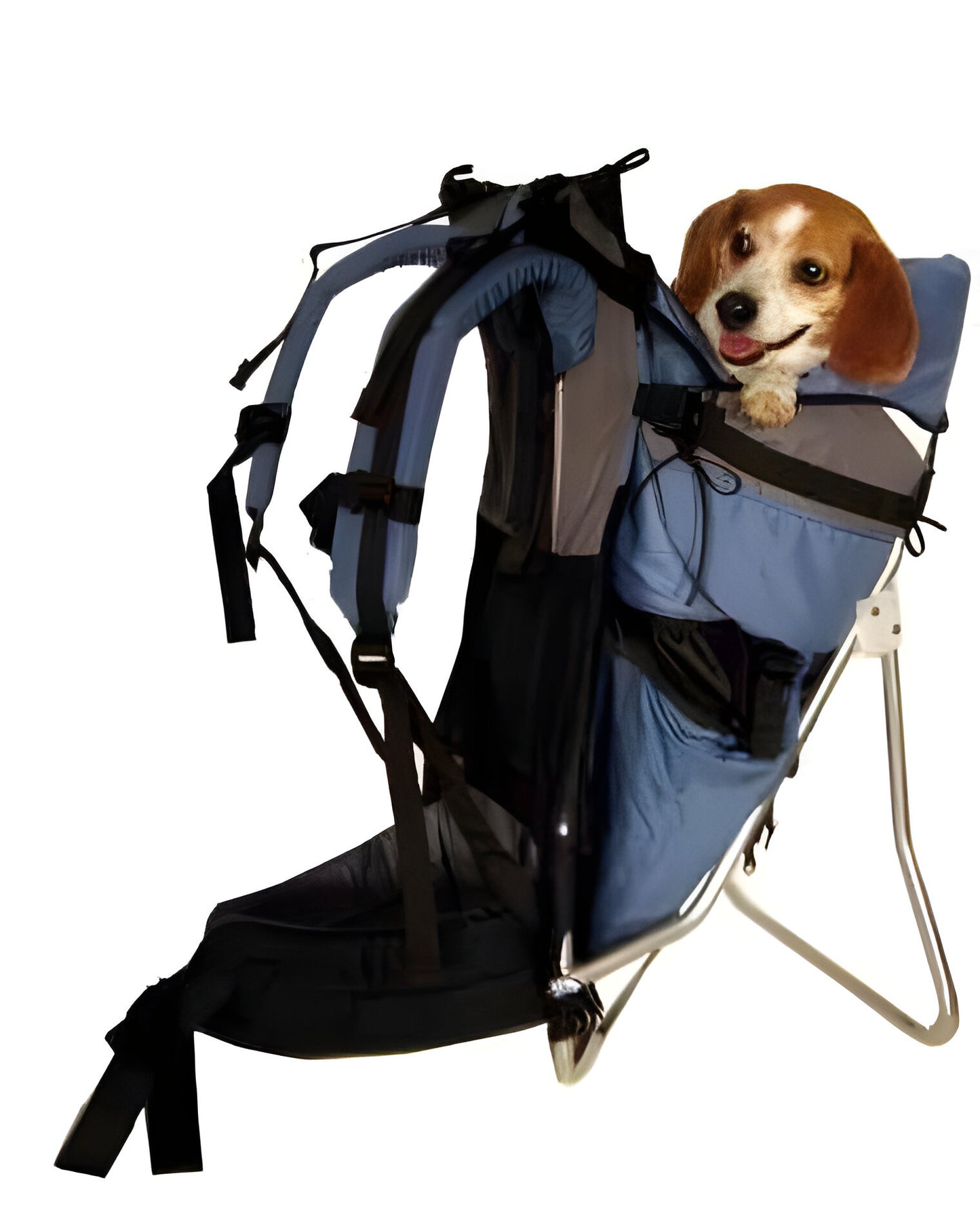 STALLION DOG PERCH BACKPACK (Up to 30 lbs)