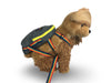 K-DOG BACKPACK Pet Products, by Tough Traveler. Made in USA since 1970