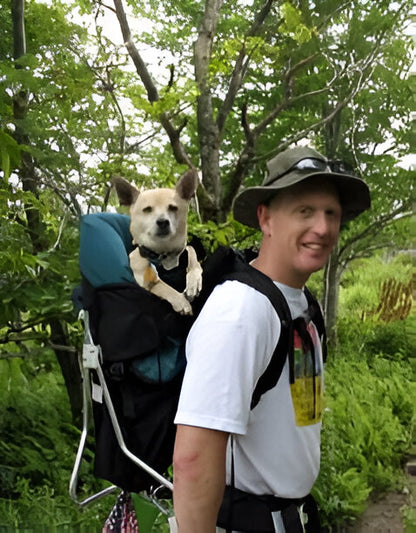 best dog backpacks for hiking 20 lbs Backpack Medium & Large Dogs padded base Hiking backpack for dogs up