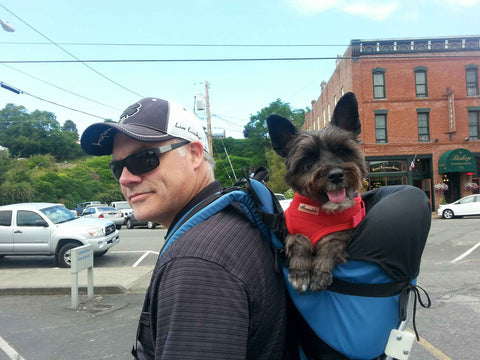 DOG PERCH BACKPACK