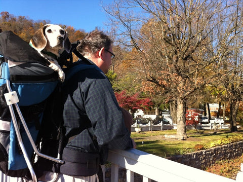 DOG PERCH BACKPACK