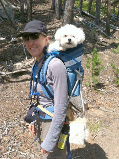 backpack for hiking with 22 pound dog Kolossus | Big Carrier & Backpacking Pack proof YKK zippers for safe Dog Backpack TARIGS MountainRock Backpack