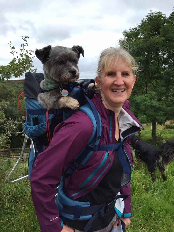 Dog carrier backpack by TARIGS - Always on the road together!