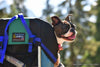 DOG PERCH BACKPACK Pet Products, by Tough Traveler. Made in USA since 1970