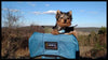 DOG PERCH BACKPACK Pet Products, by Tough Traveler. Made in USA since 1970