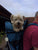 Best dog carrier backpack 25 lbs