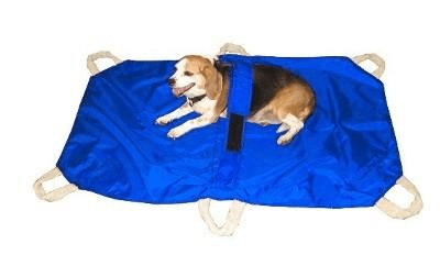 DOG STRETCHER  for large dogs