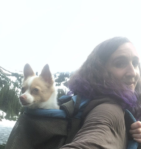 DOUBLE-DECKER Small Dog Backpack