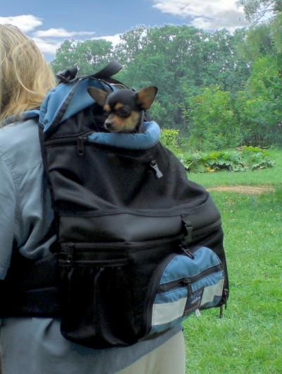 DOUBLE-DECKER Small Dog Backpack Pet Products, by Tough Traveler. Made in USA since 1970