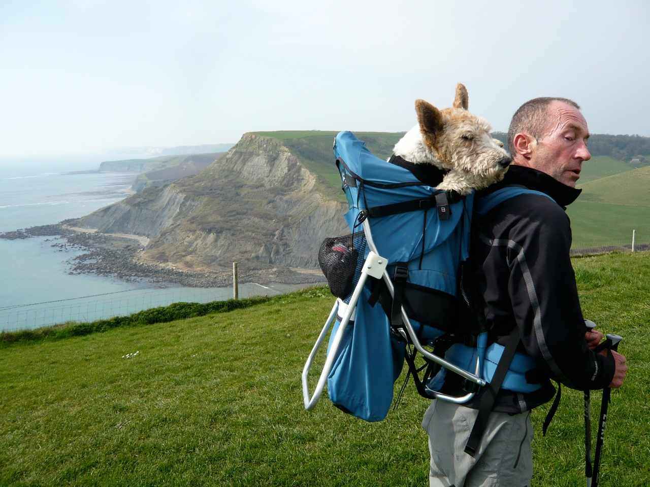 backpack for hiking with 22 pound dog Medium Dog Carrier Backpack Made in USA