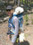 Dog backpack carrier for small dog