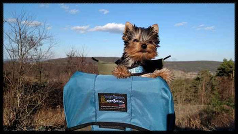 MONTANA DOG PERCH BACKPACK (Up to 15 lbs)