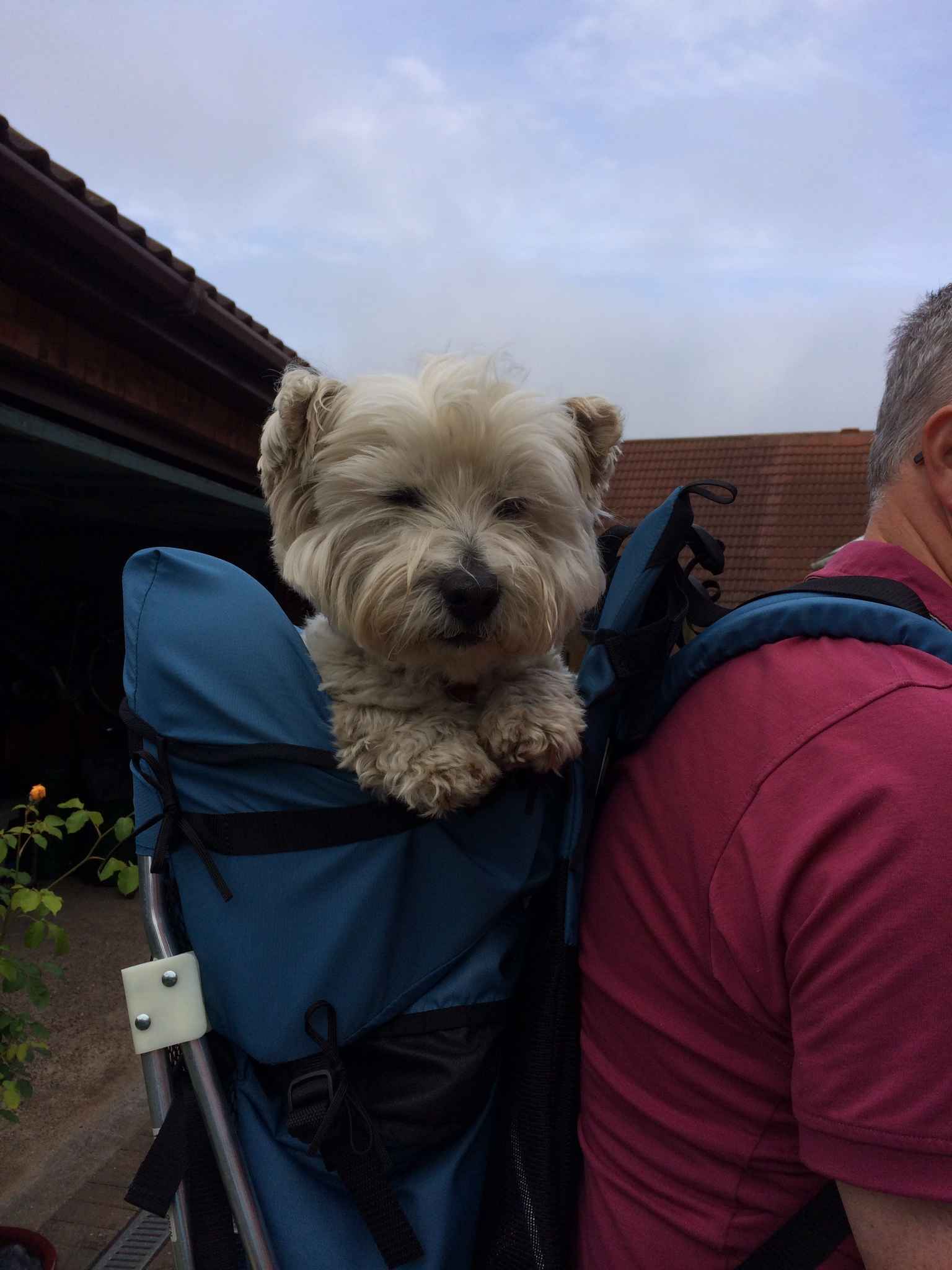 Dog Bag Crossbody Sling Messenger Dog Backpack for Puppy Large