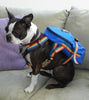 K-DOG BACKPACK Pet Products, by Tough Traveler. Made in USA since 1970