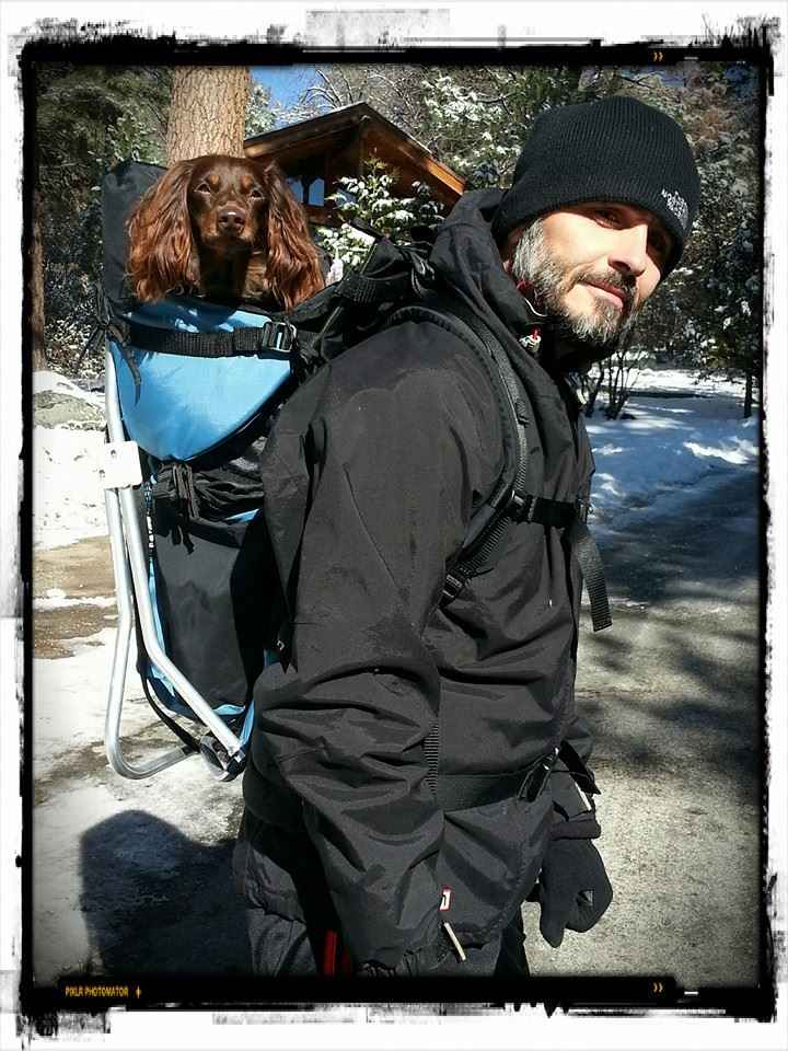 https://toughtraveler.com/cdn/shop/products/tough-traveler-pet-products-palmino-dog-perch-backpack-up-to-20-lbs-8100892442742.JPG?v=1676997549&width=1946