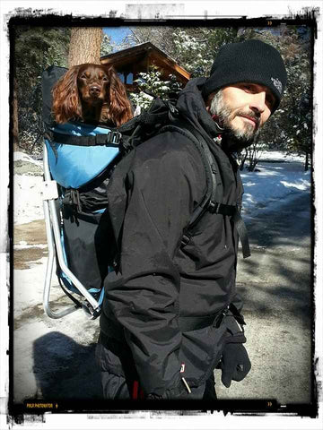 PALMINO DOG PERCH BACKPACK (Up to 20 lbs)