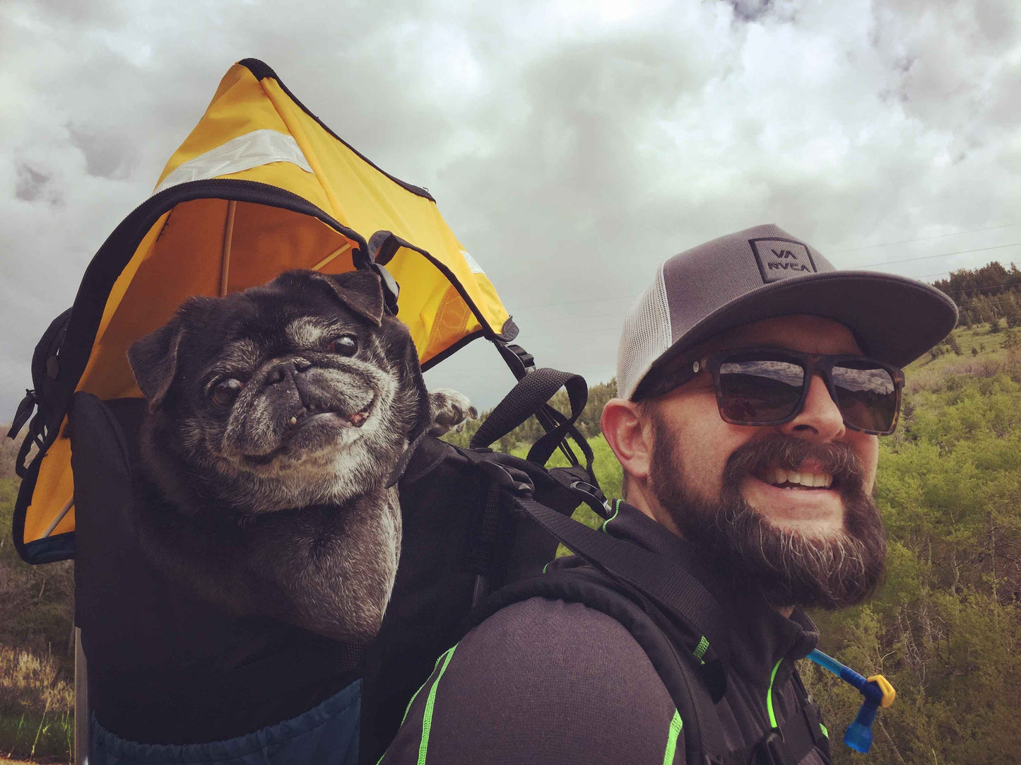 Made in USA STALLION DOG PERCH BACKPACK (Up to 30 lbs) Pet Products